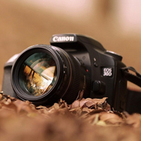 归途我的梦王霏霏